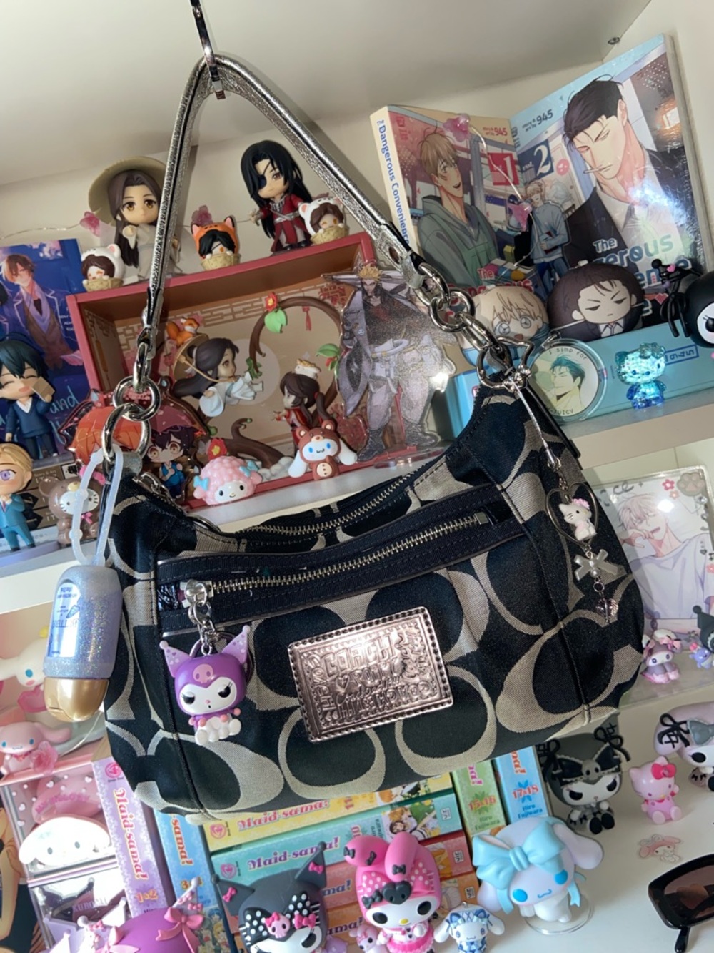 Coach Poppy Bag